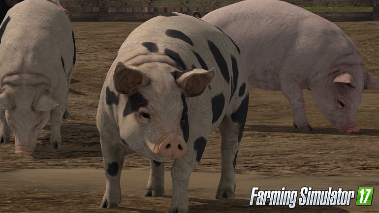 Farming Simulator 17 Farming Simulator 17