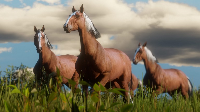Red Dead Redemption 2 Red Dead Redemption 2