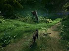 Lost Ember