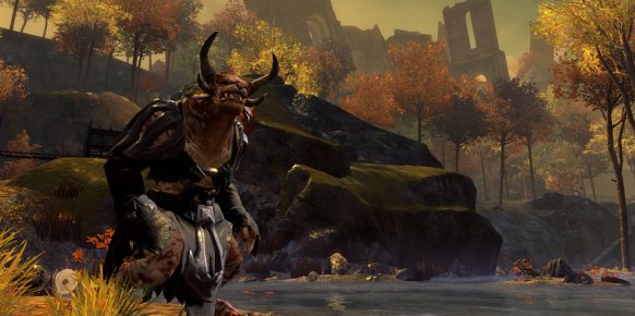 Guild Wars 2 Guild Wars 2