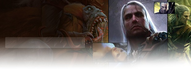 The Witcher 2: Assassins of Kings The Witcher 2: Assassins of Kings