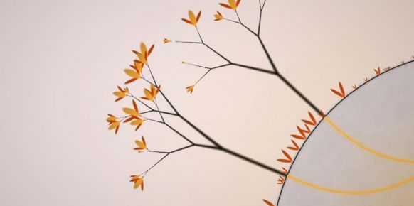 Eufloria Eufloria