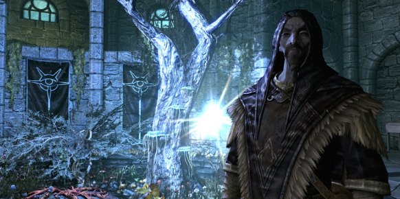 The Elder Scrolls V Skyrim PC