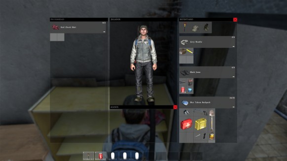 DayZ PC