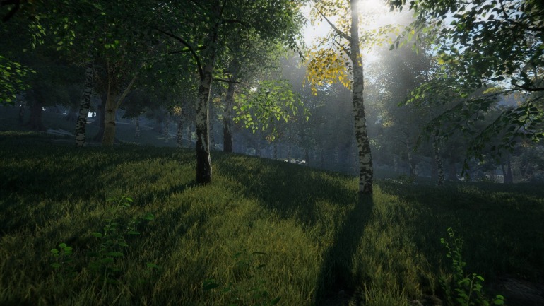 Imagen de Unity Imagen de Unity