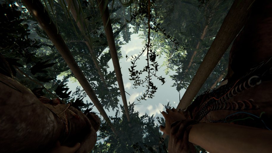 The Forest