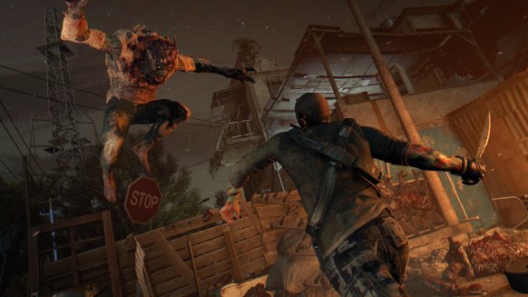 Dying Light Dying Light